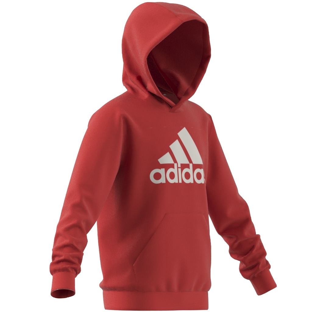 adidas Sportswear Kapuzensweatshirt »BIG LOGO ESSENTIALS COTTON HOODIE«