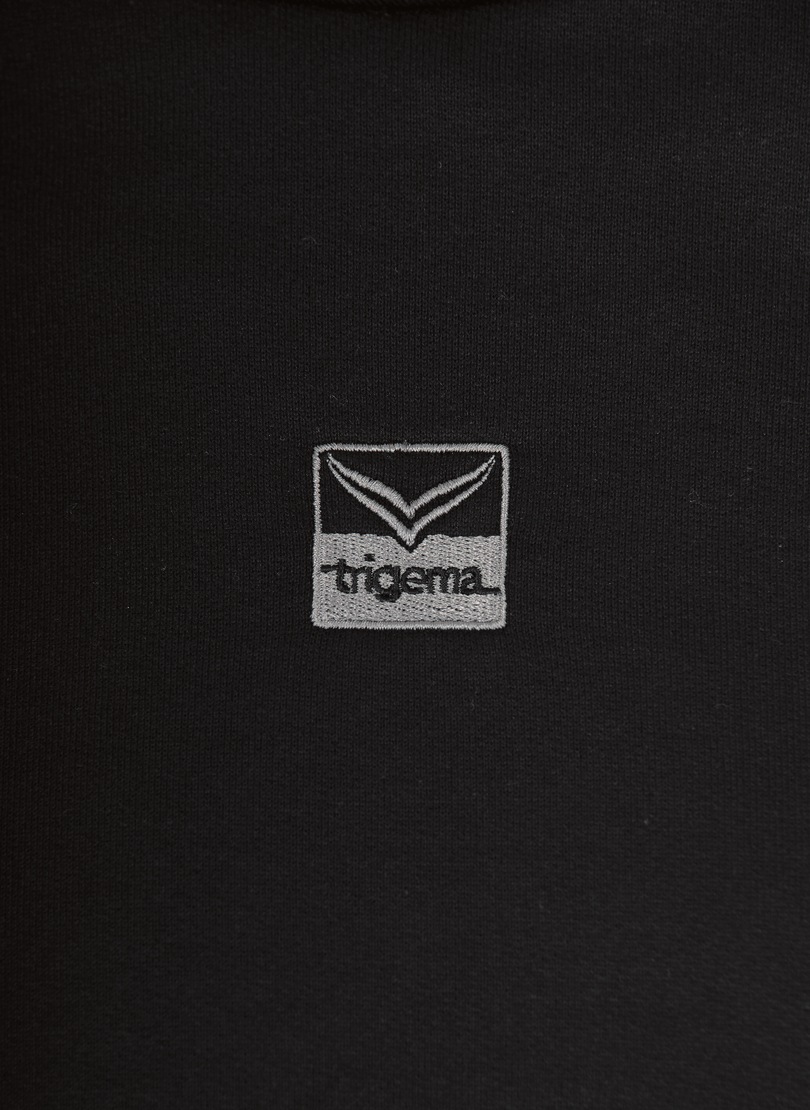 Trigema Sweatshirt »TRIGEMA Sweatshirt mit Schalkragen«
