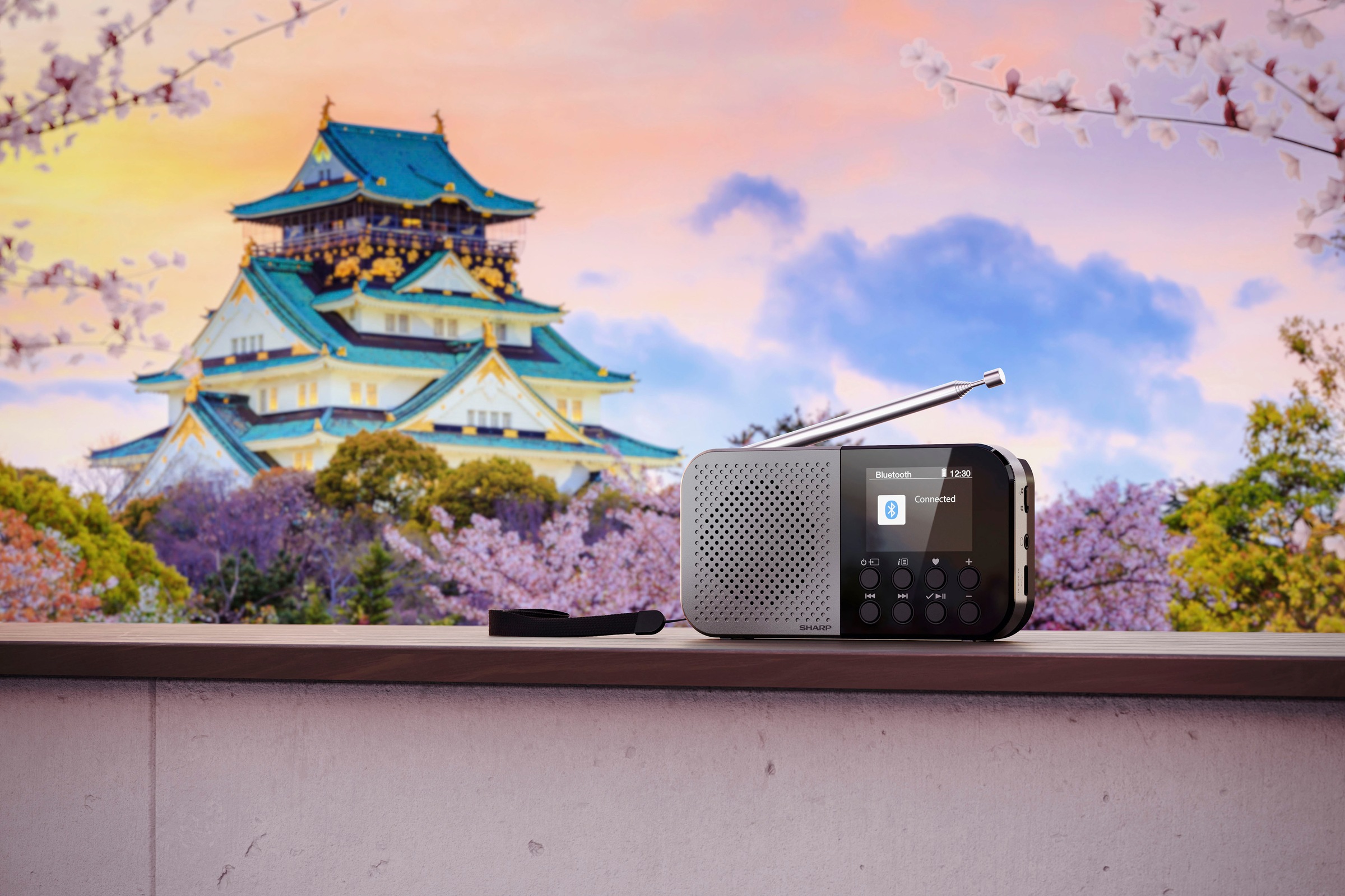 Sharp Radio »DR-P520«, (AVRCP Bluetooth-A2DP Bluetooth-Bluetooth 1,5 W)