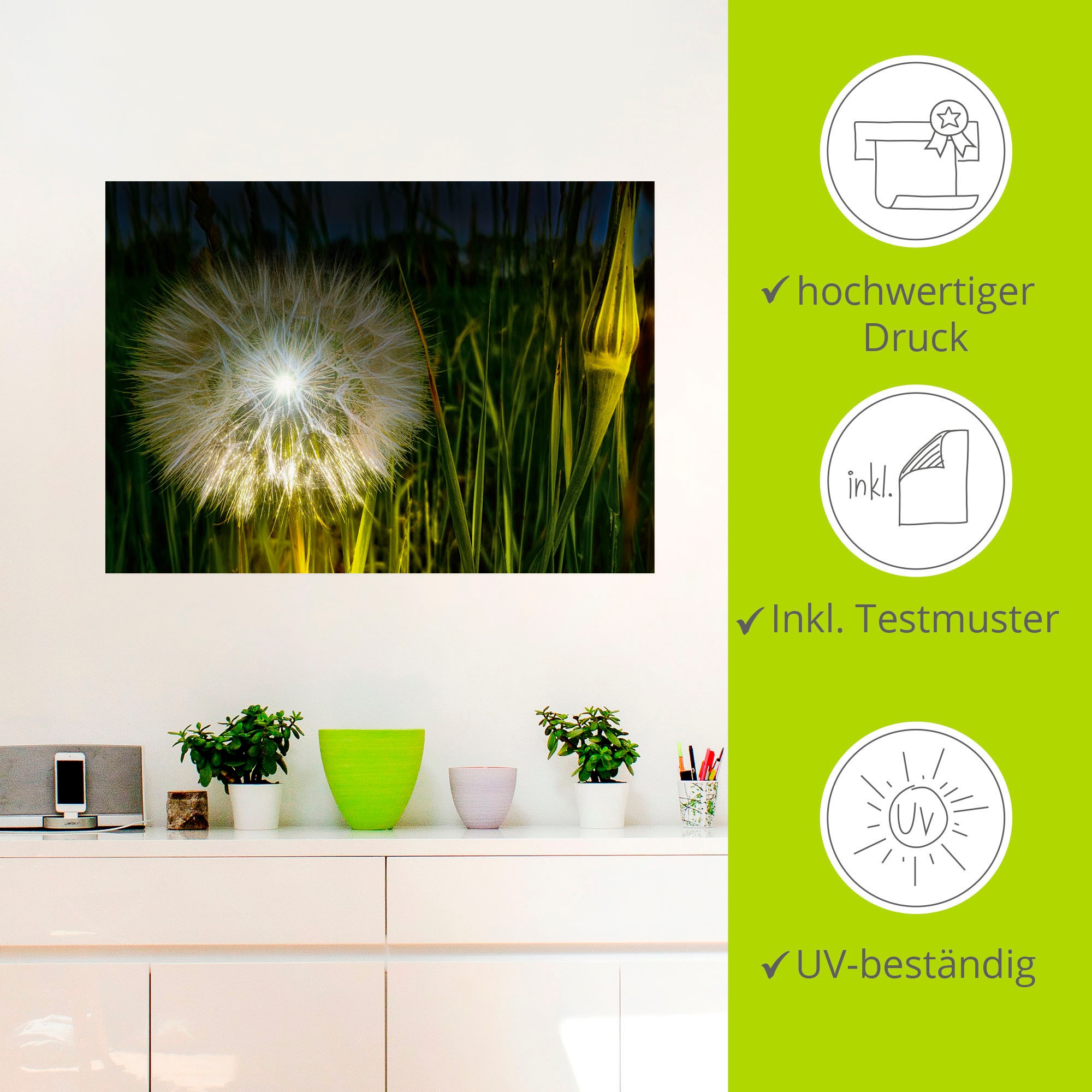 Artland Wandbild »Pusteblume Nachts beleuchtet.«, Blumenbilder, (1 St.), als Alubild, Leinwandbild, Wandaufkleber oder Poster in versch. Größen