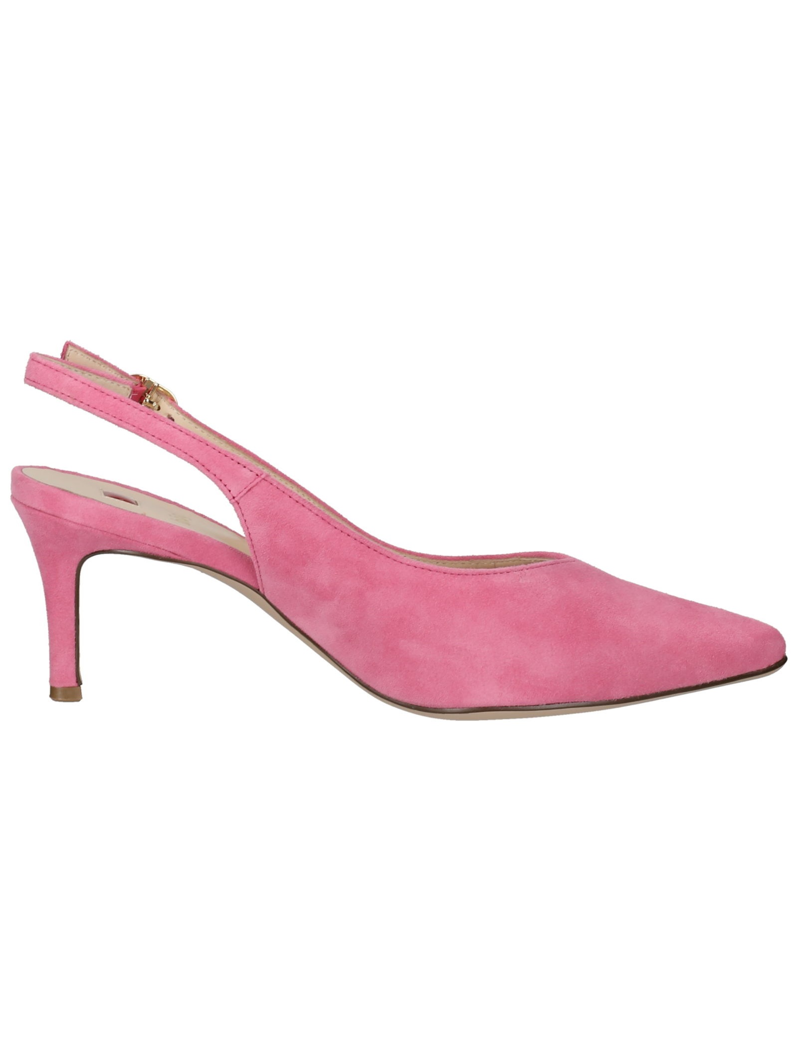 Högl Pumps »Högl Pumps Veloursleder«