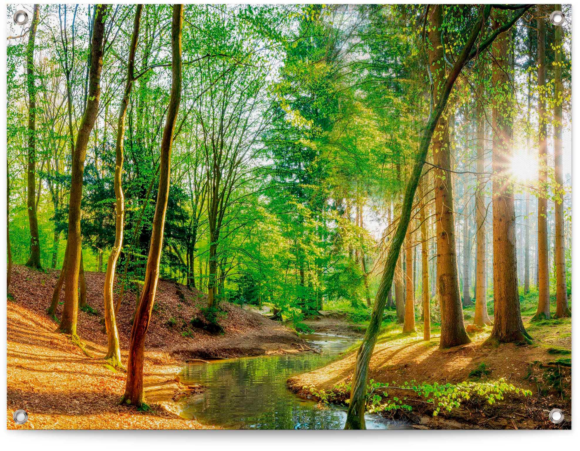 Reinders "Sonniger Wald" günstig online kaufen
