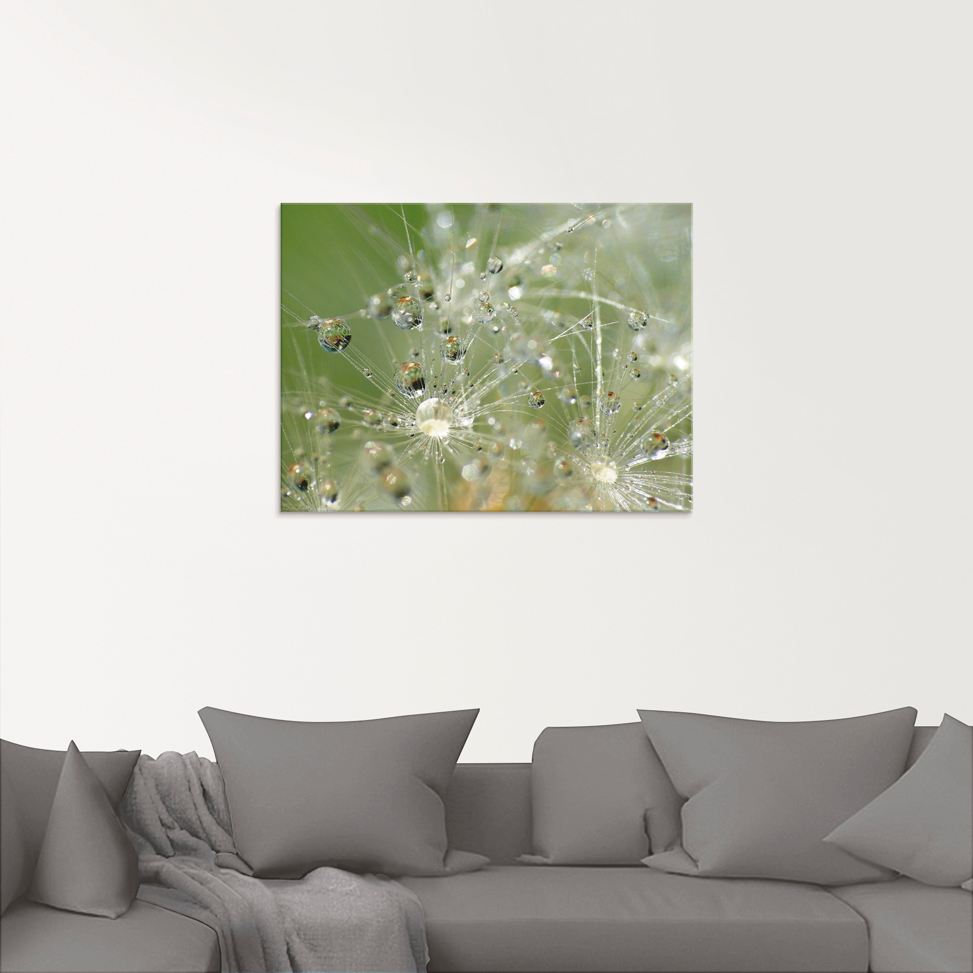 Artland Glasbild »Wassertropfen Pusteblume«, Blumen, (1 St.), in verschiedenen Größen
