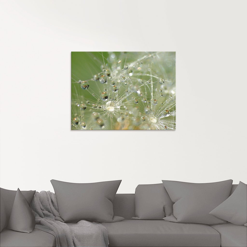 Artland Glasbild »Wassertropfen Pusteblume«, Blumen, (1 St.)