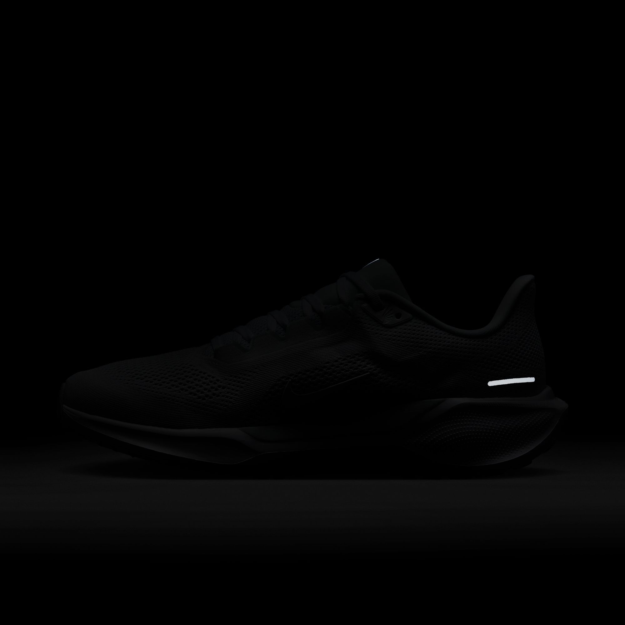 Nike Laufschuh »AIR ZOOM PEGASUS 41«