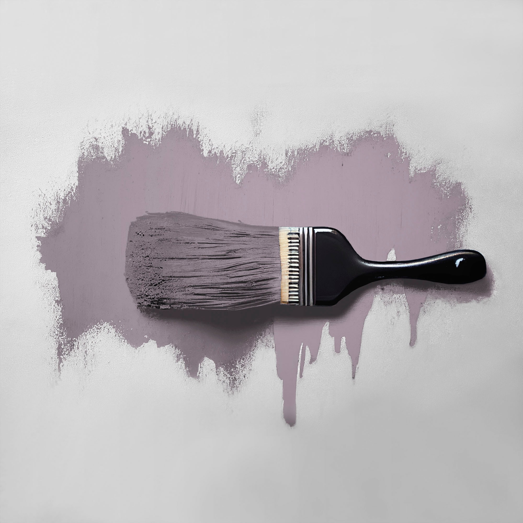 A.S. Création Wand- und Deckenfarbe »Seidenmatt Innenfarbe THE COLOR KITCHEN« für Wohnzimmer Schlafzimmer Flur Küche, versch. Lilatöne