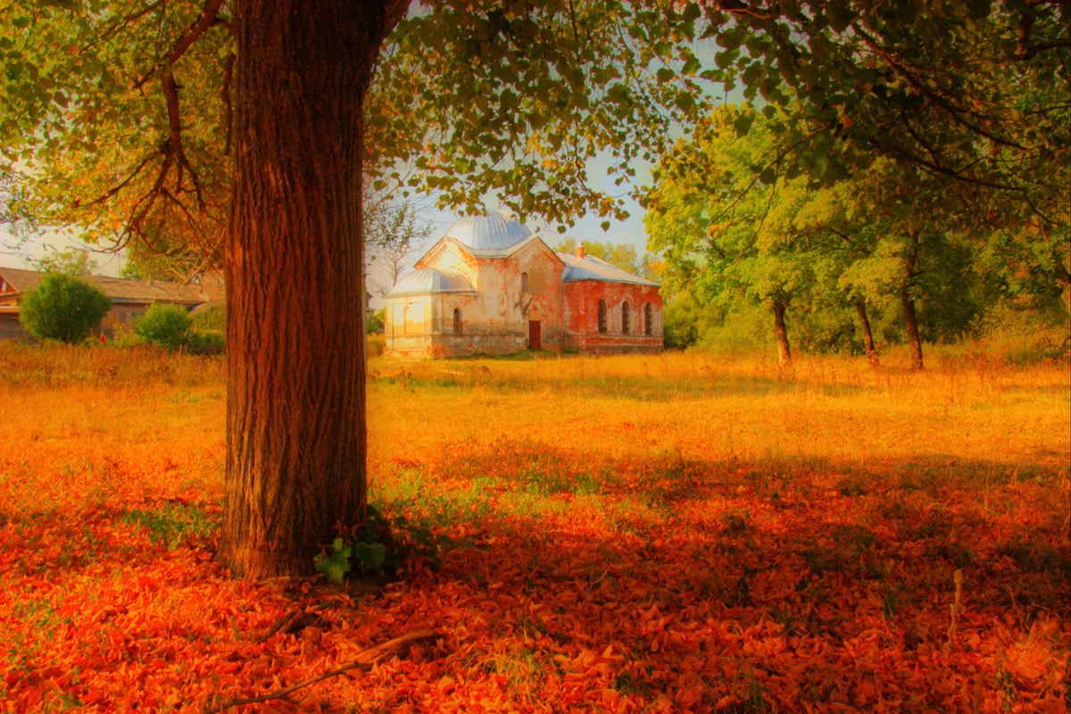 Papermoon Fototapete "Herbstlandschaft"