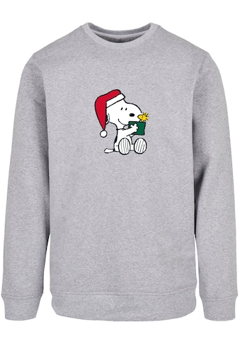 Rundhalspullover »Merchcode Herren Peanuts Snoopy and Woodstock Basic Crewneck«, (1 tlg.)