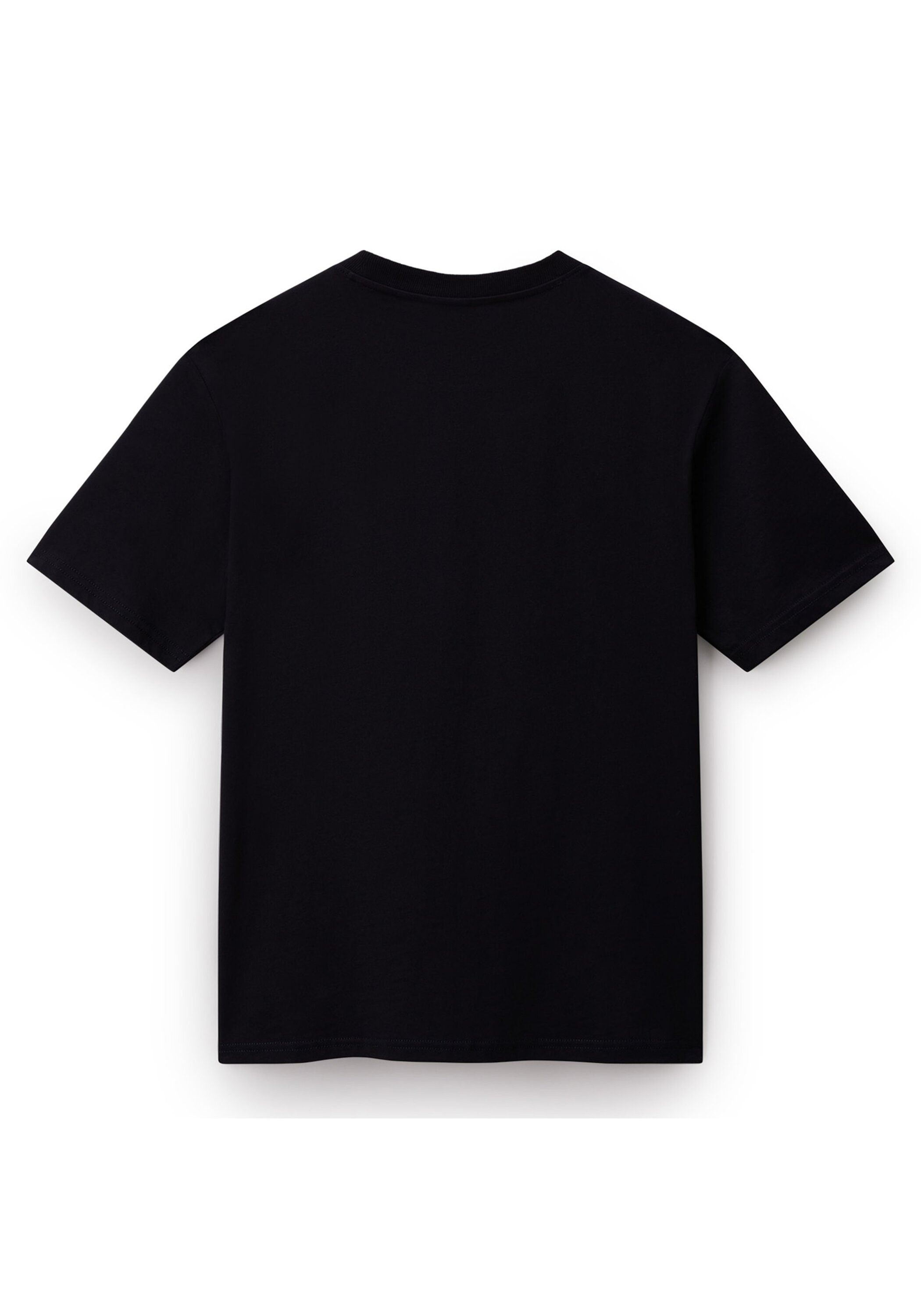 Napapijri T-Shirt »T-Shirt S-SMALL BOX 1er Pack«