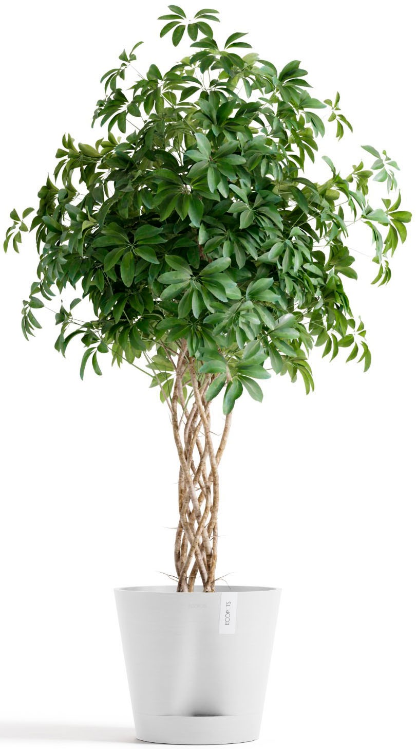 ECOPOTS Blumentopf »Venice 2 40 Weiß« für den Innenbereich