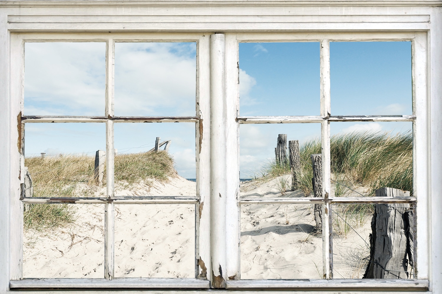 queence Leinwandbild "Norderney", Düne-Gräser-Natur-Meer-Meer Bilder-Fenste günstig online kaufen