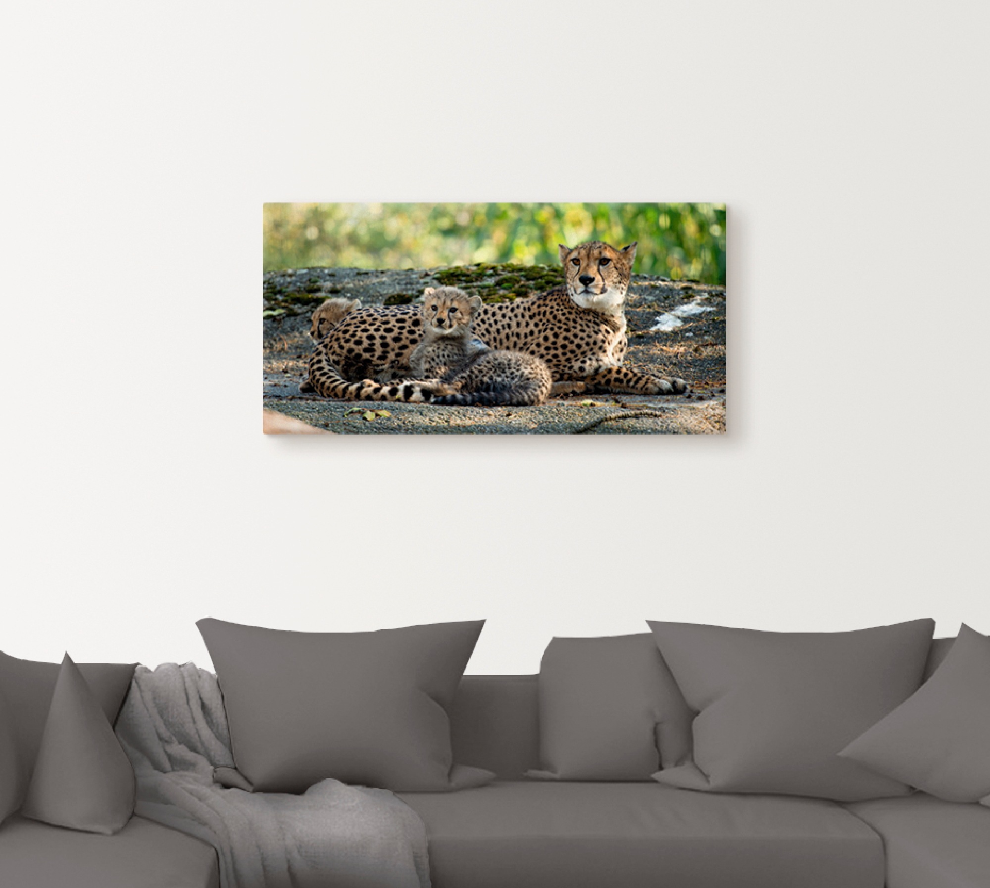 Artland Wandbild "Gepard 2" Wildtiere 1 Stk. tlg. als Leinwandbild, Poster, günstig online kaufen
