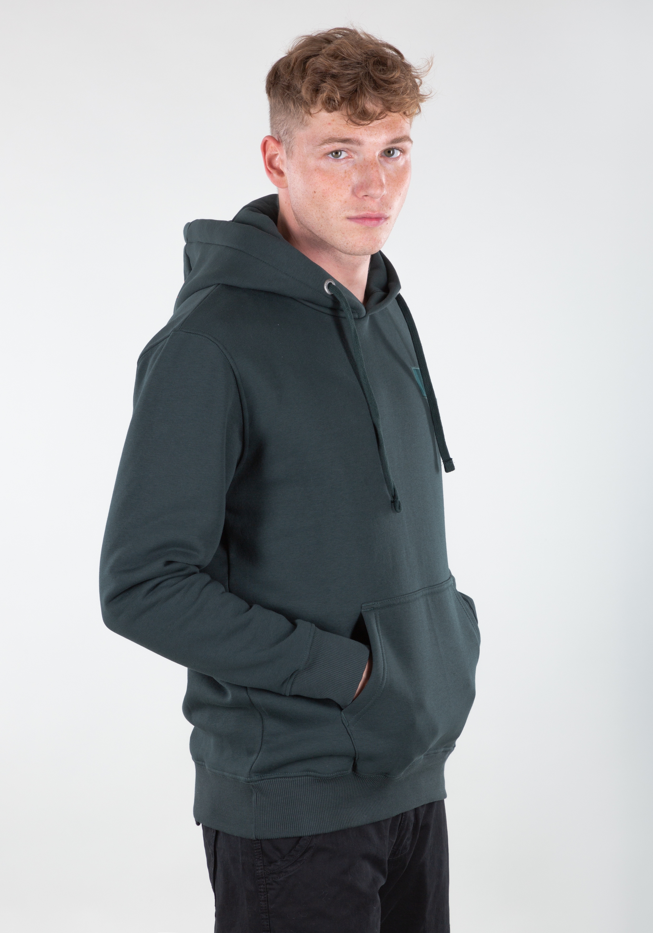 Alpha Industries Hoodie "Backprint Hoodie " günstig online kaufen