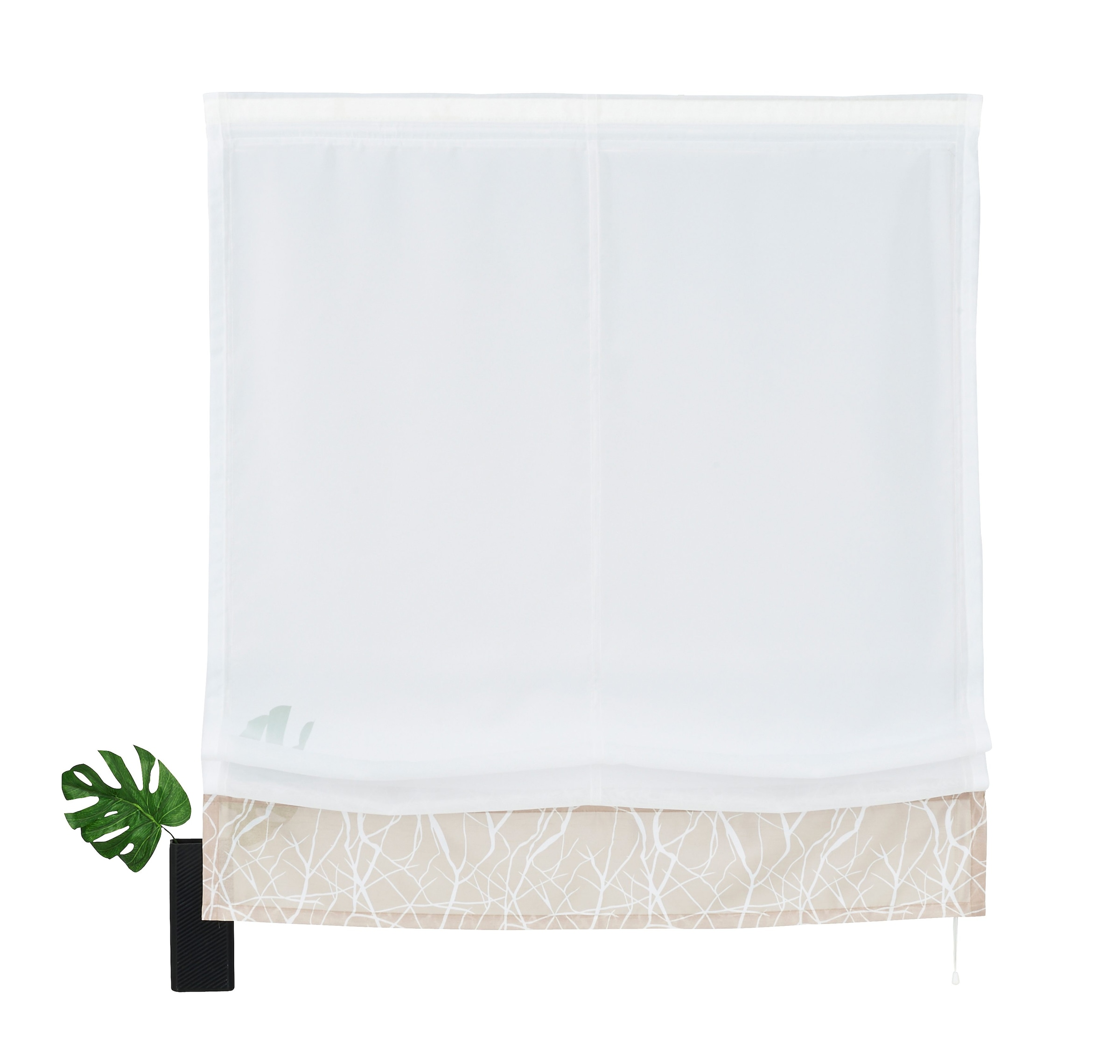 Voile, home BAUR »Camposa«, my kaufen | Raffrollo Polyester Klettband, Transparent, mit