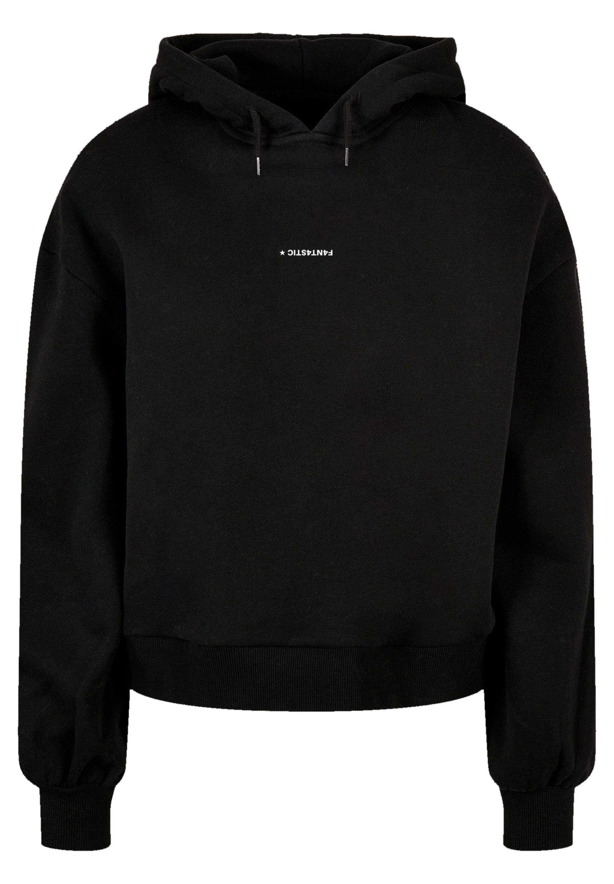 F4NT4STIC Kapuzenpullover »MOUNTAIN x F4NT4STIC«, Print