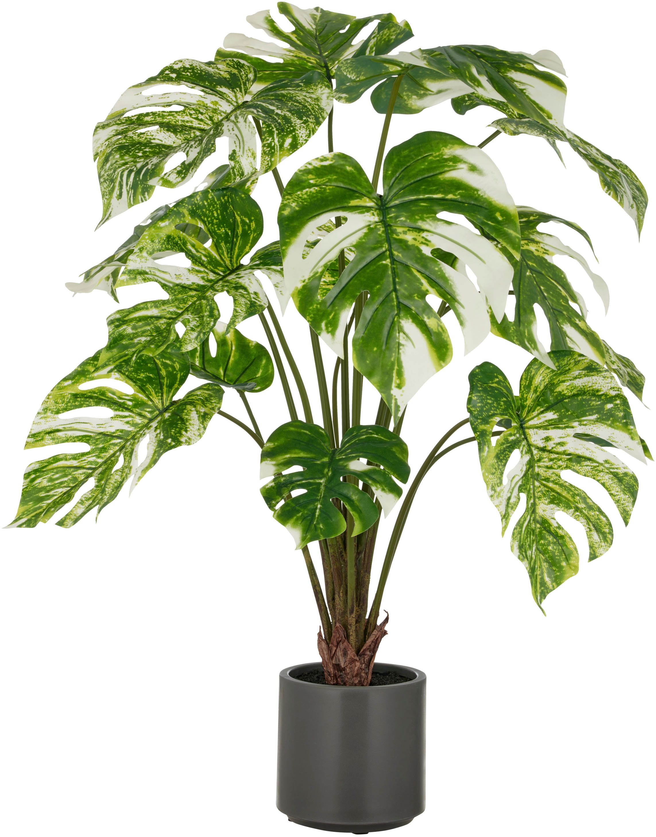 Creativ green Kunstpflanze "Splitphilodendron", mit naturgetreuem Blattwerk günstig online kaufen