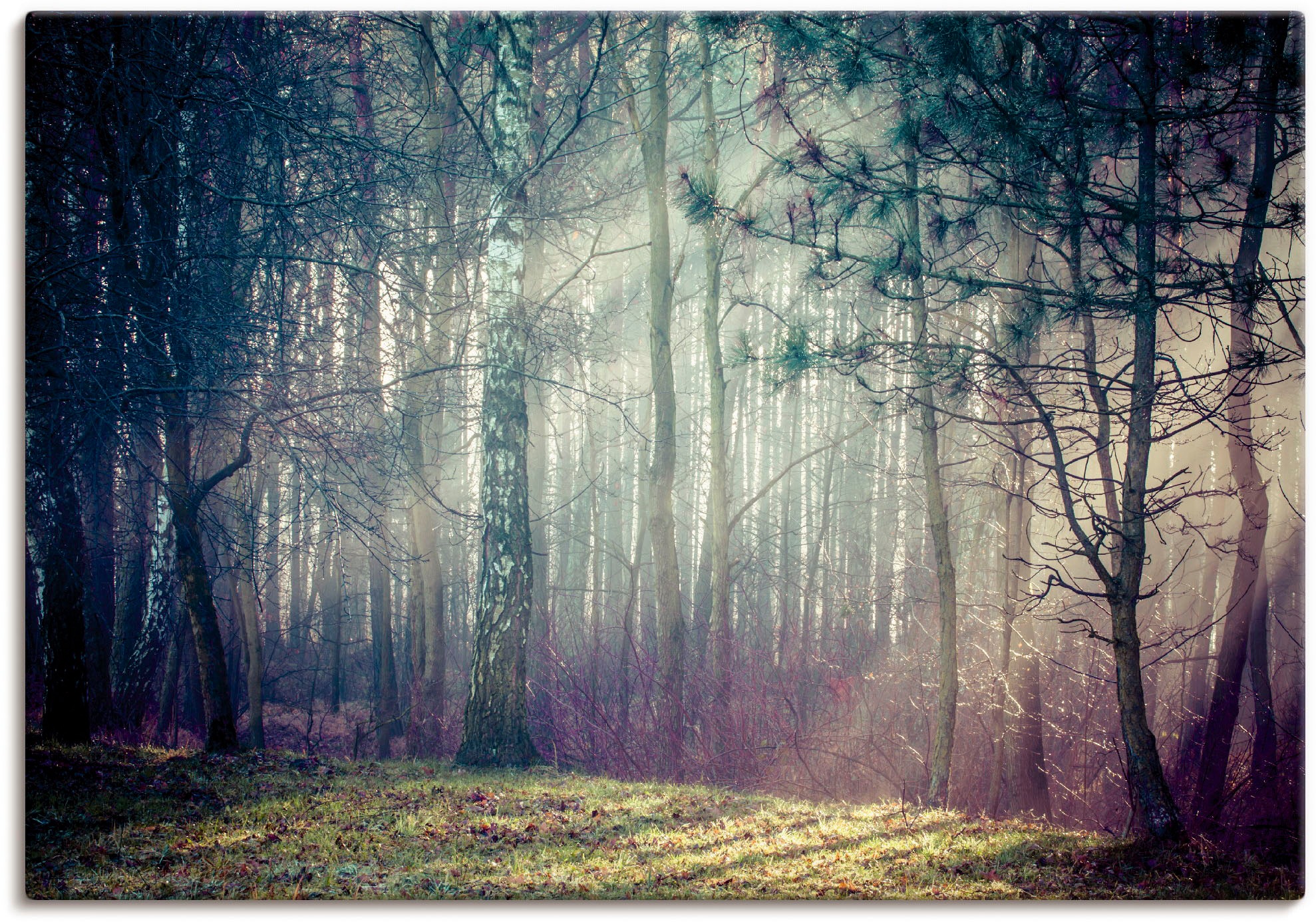 St.), Alubild, Wandbild Poster Wald«, Wandaufkleber im bestellen Artland »Sonnenstrahlen versch. Größen in Waldbilder, als Leinwandbild, (1 BAUR oder |