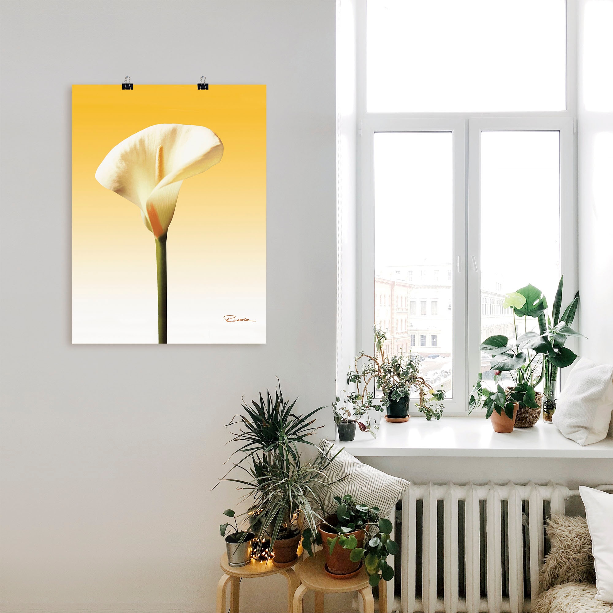 Artland Wandbild »Sonnenschein Calla II«, Blumenbilder, (1 St.), als Leinwandbild, Poster in verschied. Größen