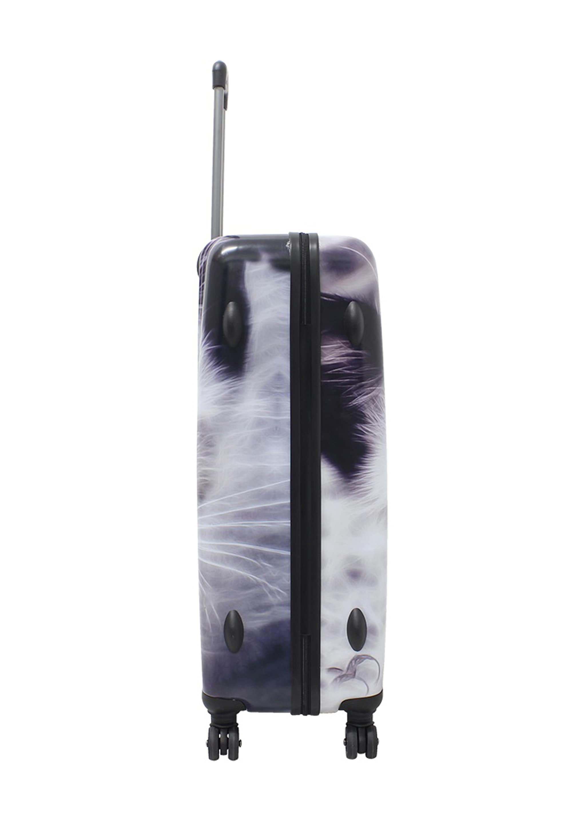 Saxoline® Koffer »White Cat« mit niedlichem Katzenmotiv