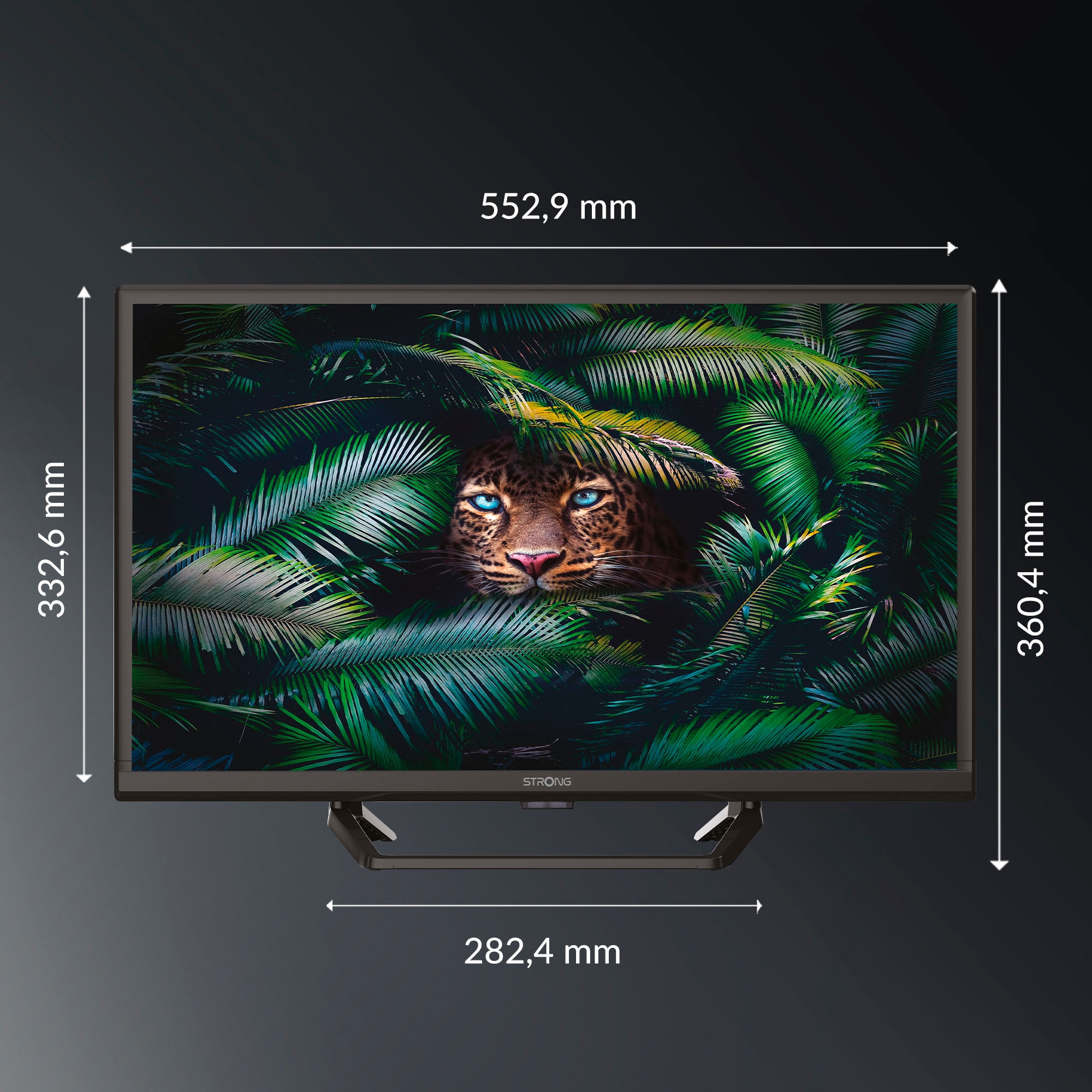 Strong LED-Fernseher »SRT 24HE4023C«, HD ready, Video-Streaming: Netflix, Youtube, Amazon Prime Video, Disney+