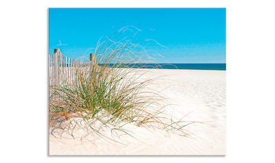 Küchenrückwand »Schöne Sanddüne mit Gräsern und Zaun«, (1 tlg.)