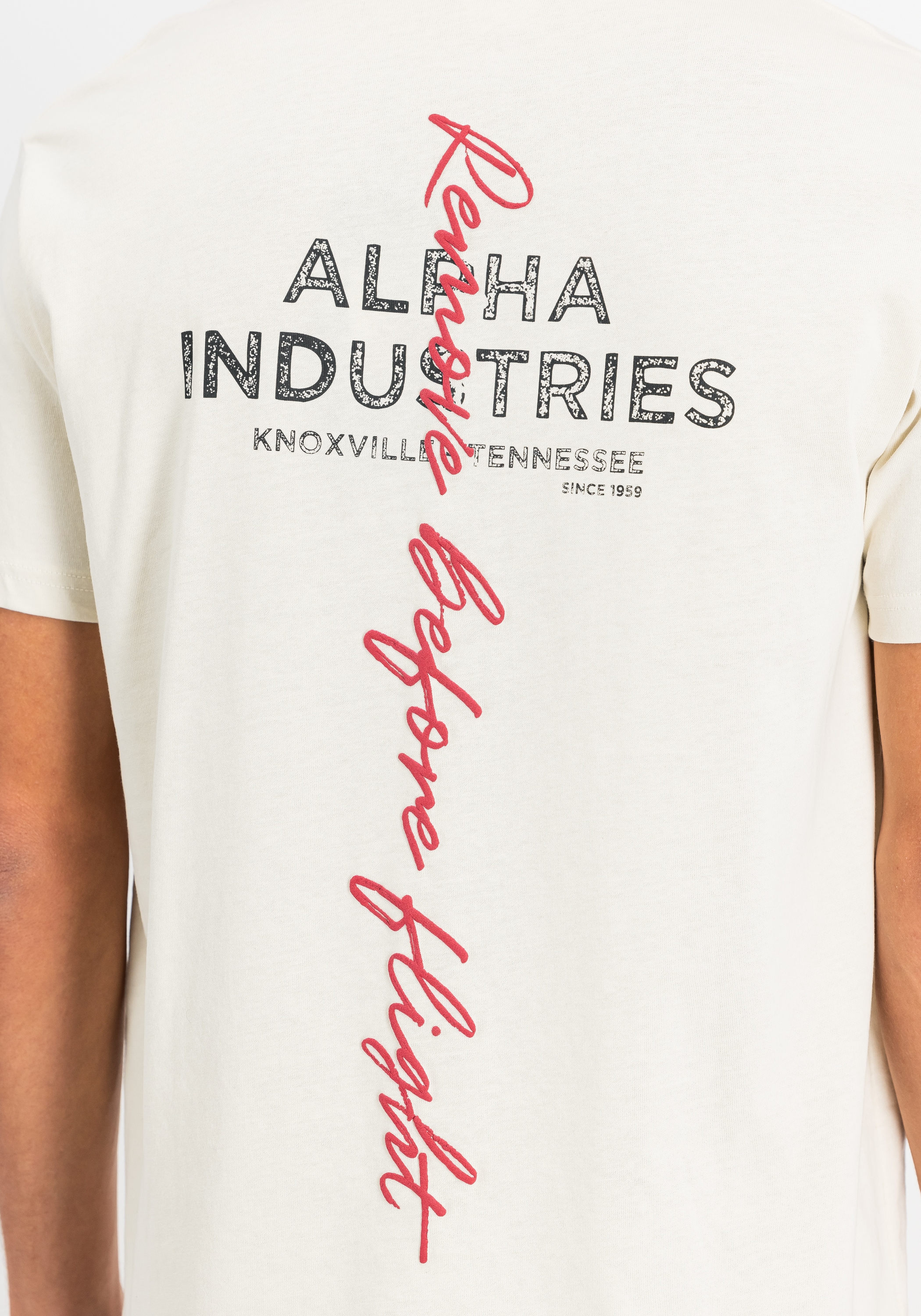 Alpha Industries T-Shirt »Signature Backprint T-Shirt T-Shirt«