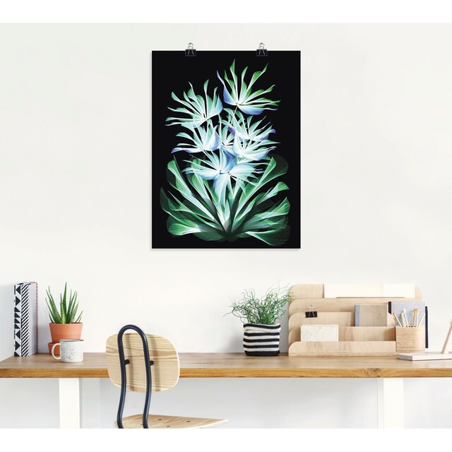 Artland Wandbild »Leuchtende Nachtblumen«, klassische Fantasie, (1 St.),  als Alubild, Leinwandbild, Wandaufkleber oder Poster in versch. Größen  bestellen | BAUR