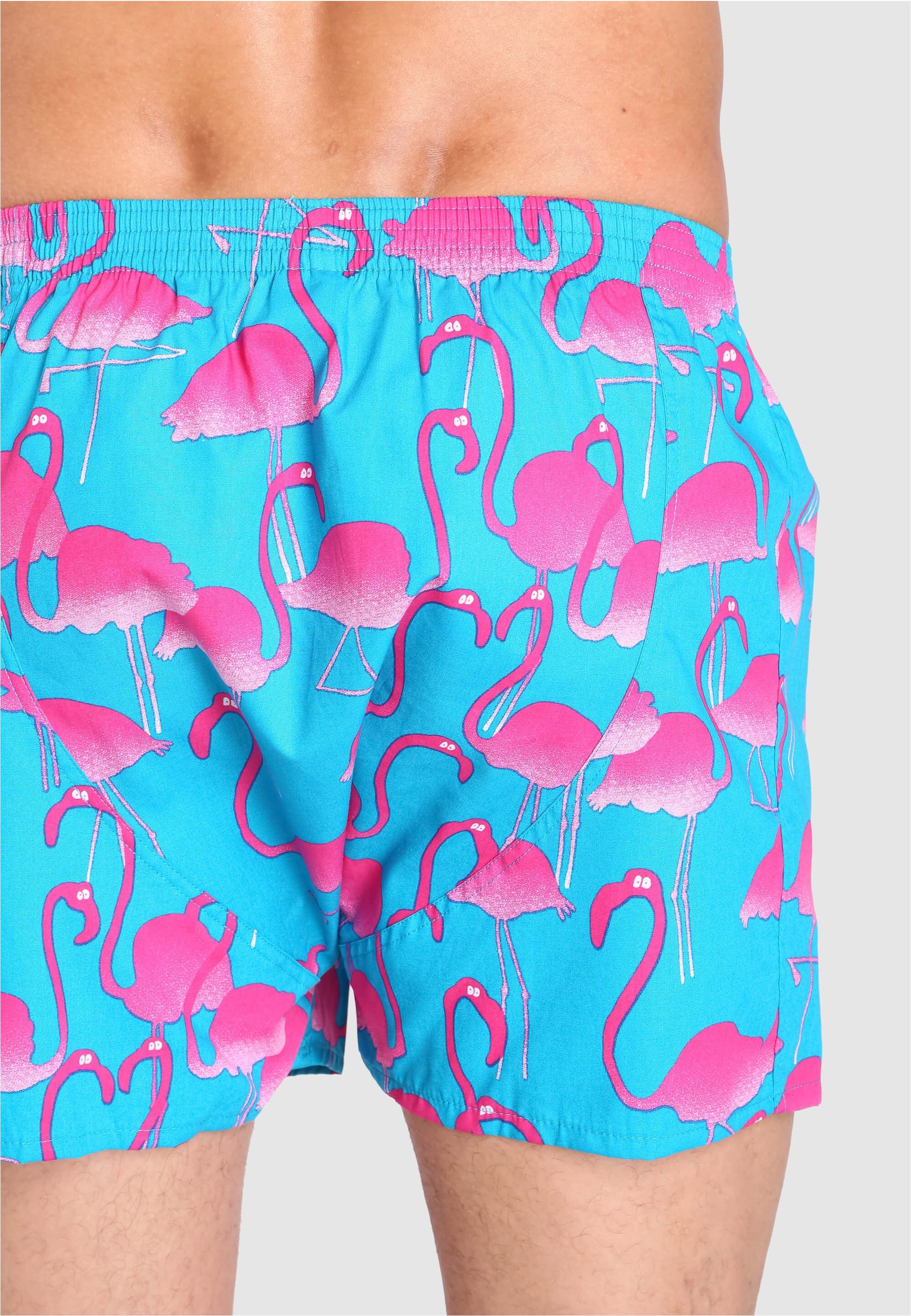Lousy Livin Boxershorts »Flamingo«, mit trendigem Flamingo-Print