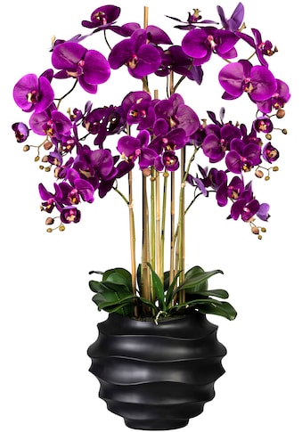 Creativ green Kunstorchidee »Phalaenopsis«, (1 St.), in Design-Kunststoffvase kaufen