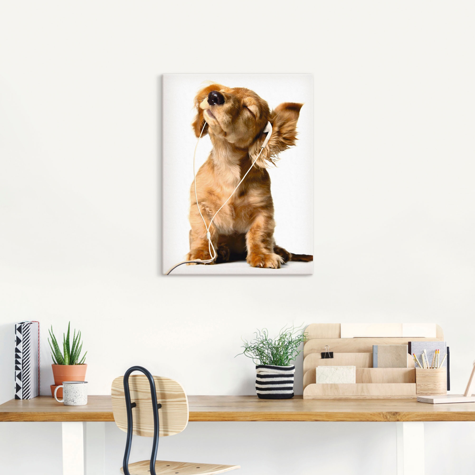 Artland Wandbild "Junger Hund hört Musik über Kopfhörer" Haustiere 1 Stk. t günstig online kaufen