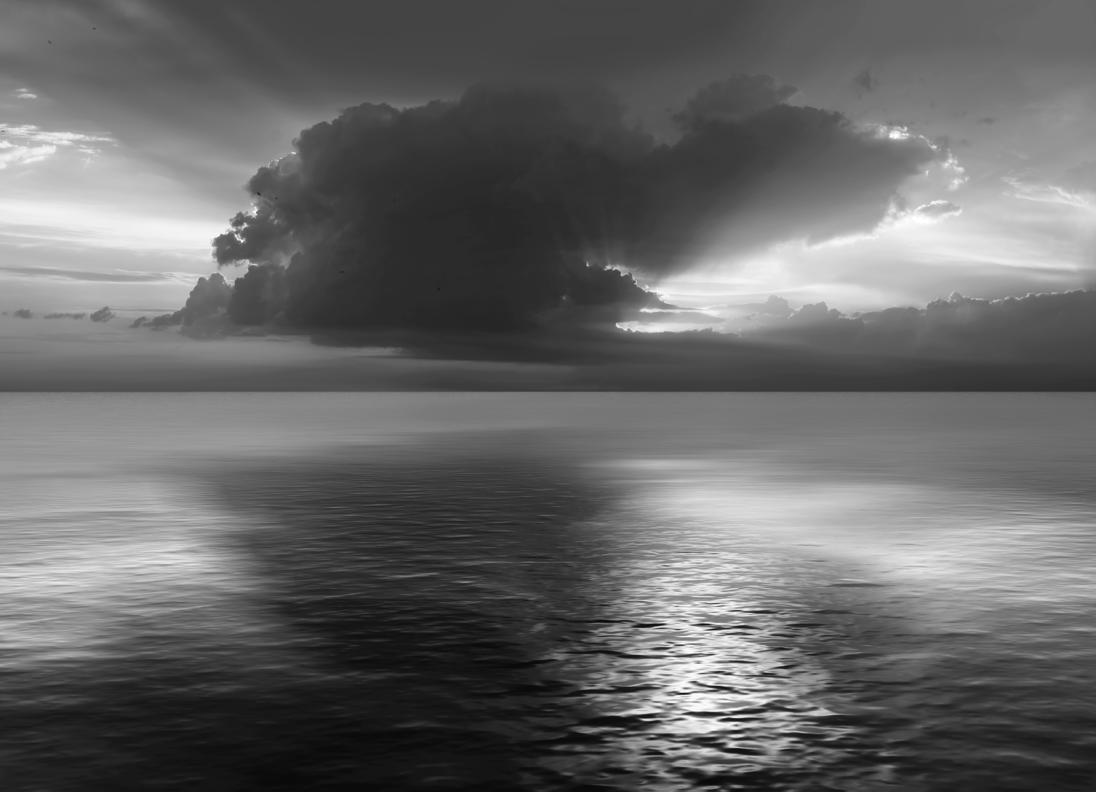 Papermoon Fototapete "Meer Schwarz & Weiß"