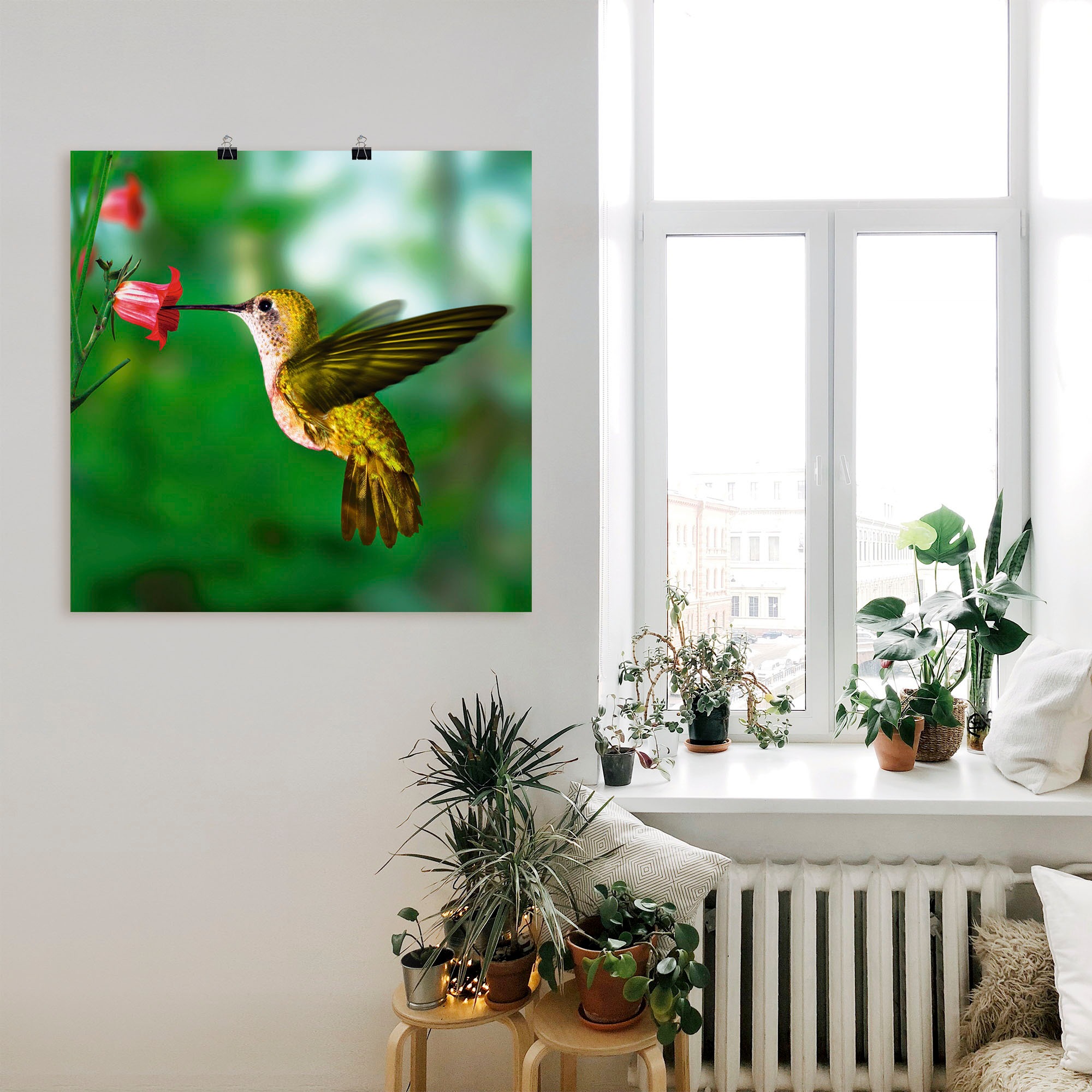 Artland Wandbild "Kolibri", Vögel, (1 St.), als Alubild, Outdoorbild, Leinw günstig online kaufen