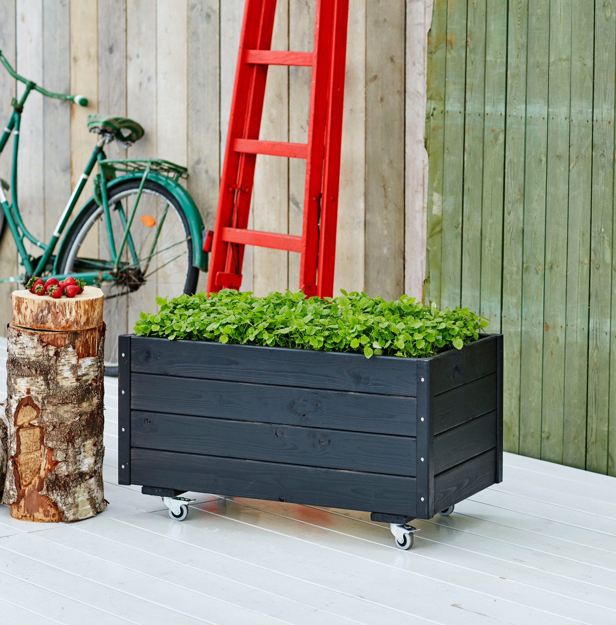 PLUS Blumenkasten BxTxH: 48x88x47 cm