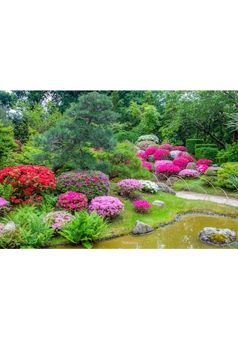 Fototapete »GARTEN-BLUMEN BÄUME PFLANZEN STEINE WALD PARK BLÜTEN«