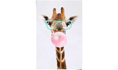 Giraffen Bilder online kaufen » mit Giraffen-Motiv | BAUR