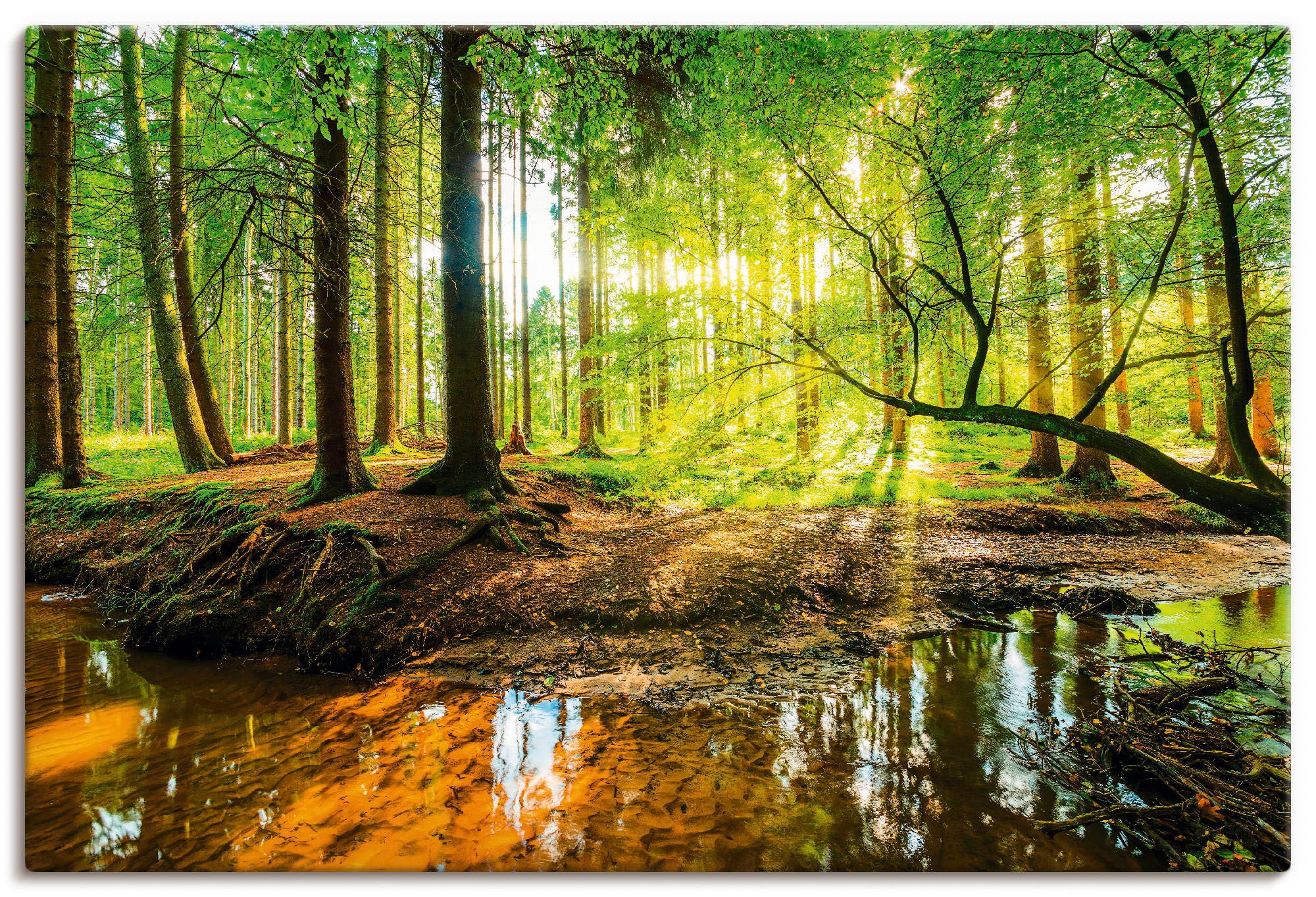 Artland Wandbild "Wald mit Bach" Wald 1 Stk. tlg. als Alubild, Leinwandbild günstig online kaufen