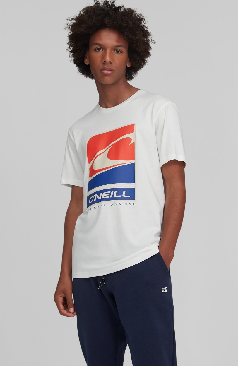 O'Neill T-Shirt »Flag Wave Ss T-Shirt«