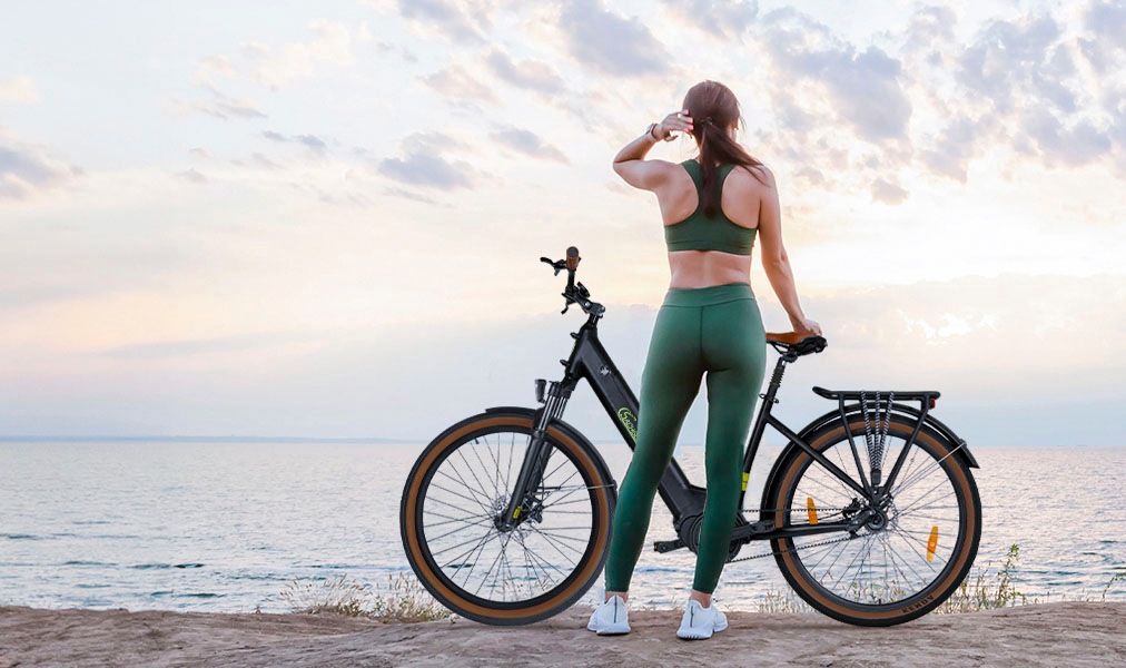 SachsenRad »S5G« Kugelschaltung Mittelmotor 250 W Tiefeinsteiger, Alarmanlage, Pedelec,  Stufenlose Enviolo-Schaltung, TFT Farb-LCD-Steuerdisplay