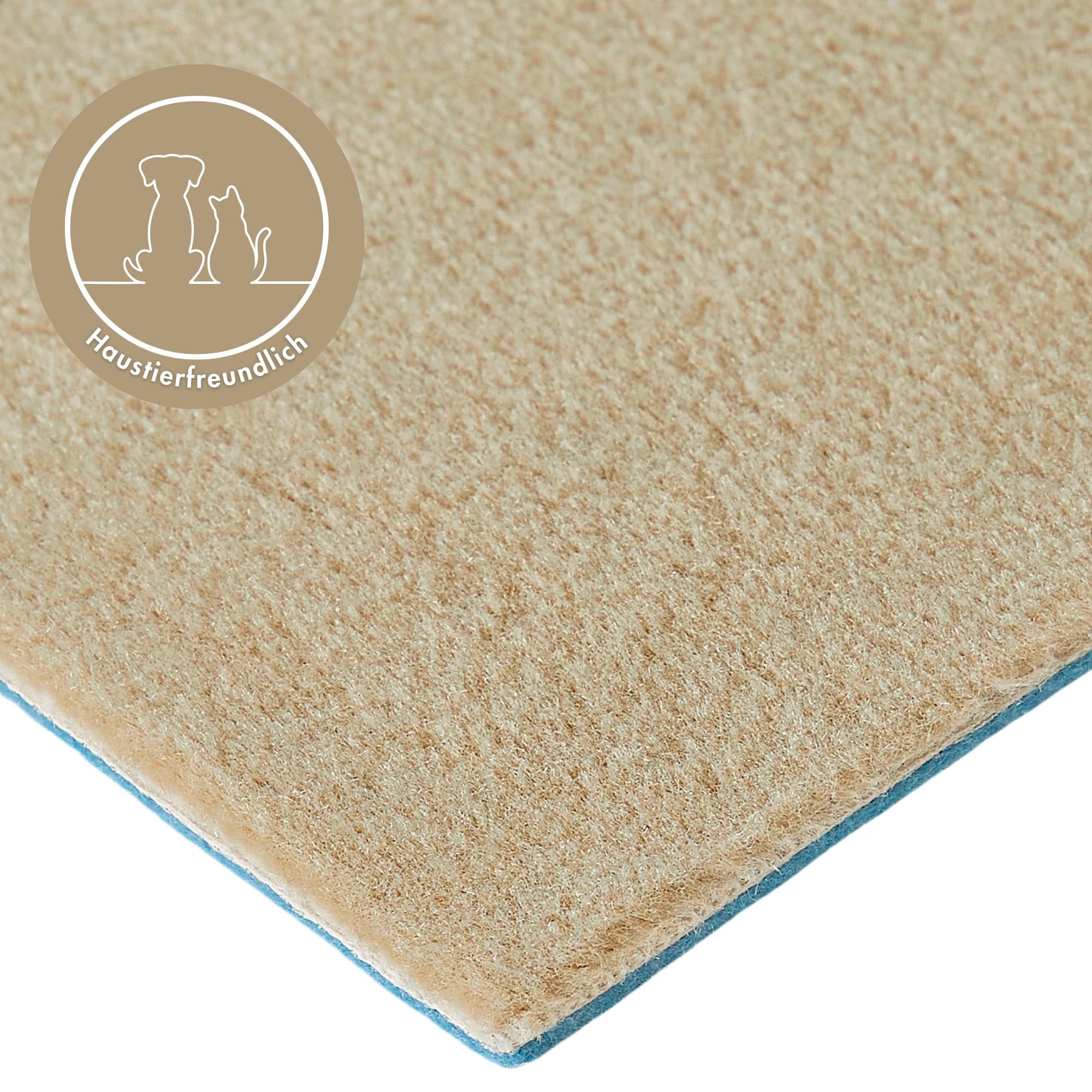 Teppichboden ANDIAMO "Kira, Velours, Gesamthöhe 8 mm, Made in Belgium", beige, B:400cm L:400cm, Kunstfaser, Teppiche, Uni Farben, Breite 400 cm, strapazierfähig, pflegeleicht, Wohnzimmer 2