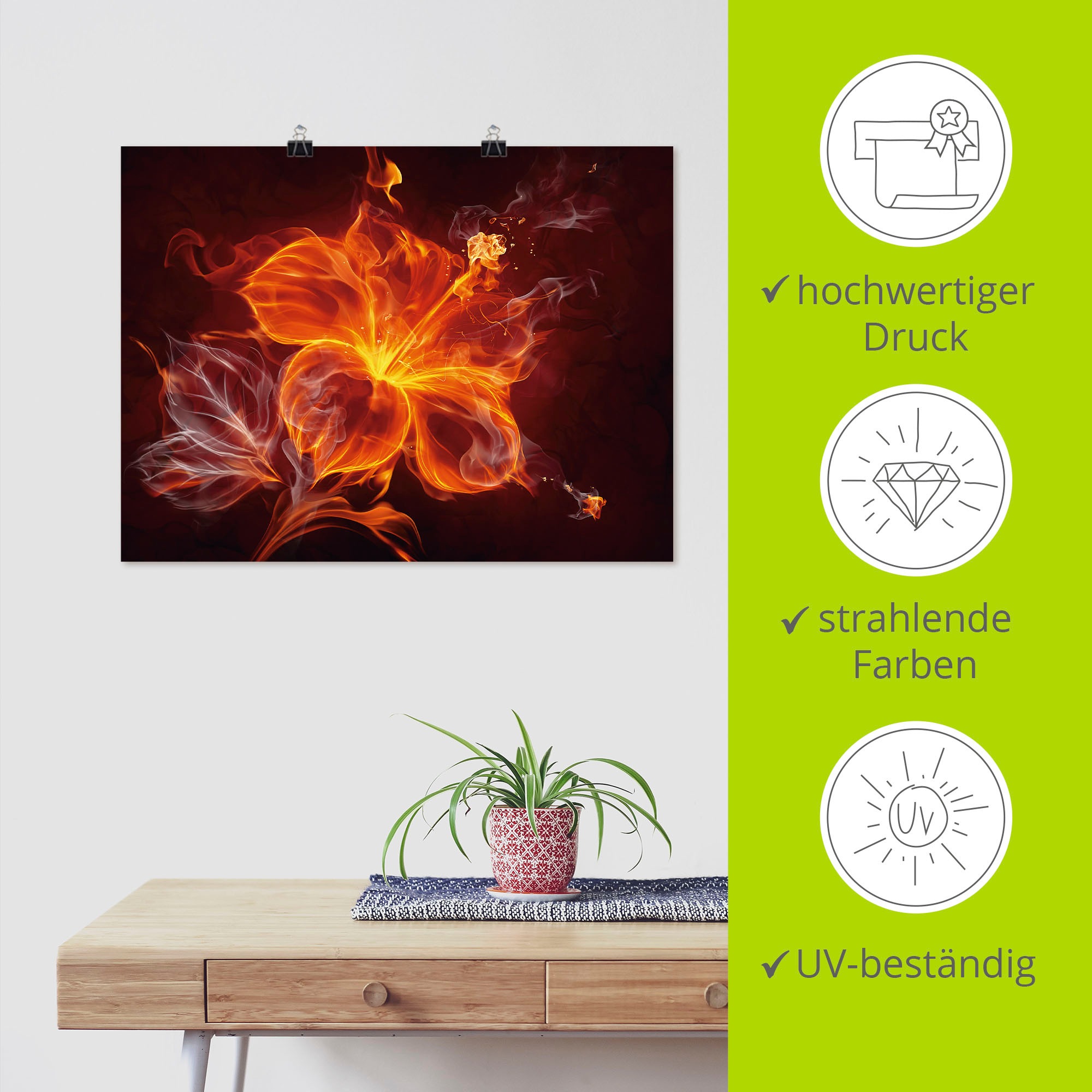 Artland Wandbild »Feuerblume«, Blumen, (1 St.), als Leinwandbild, Poster, Wandaufkleber in verschied. Größen
