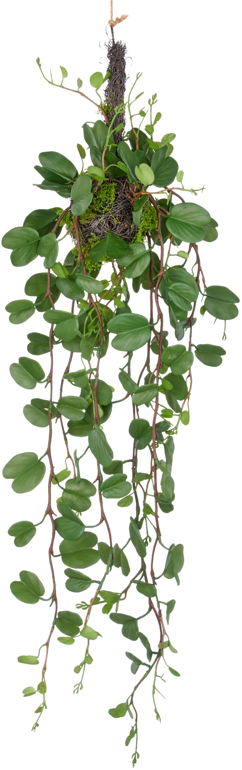 Creativ green Kunstpflanze "Bauhinia", mit detailgetreuen Blattranken an Re günstig online kaufen