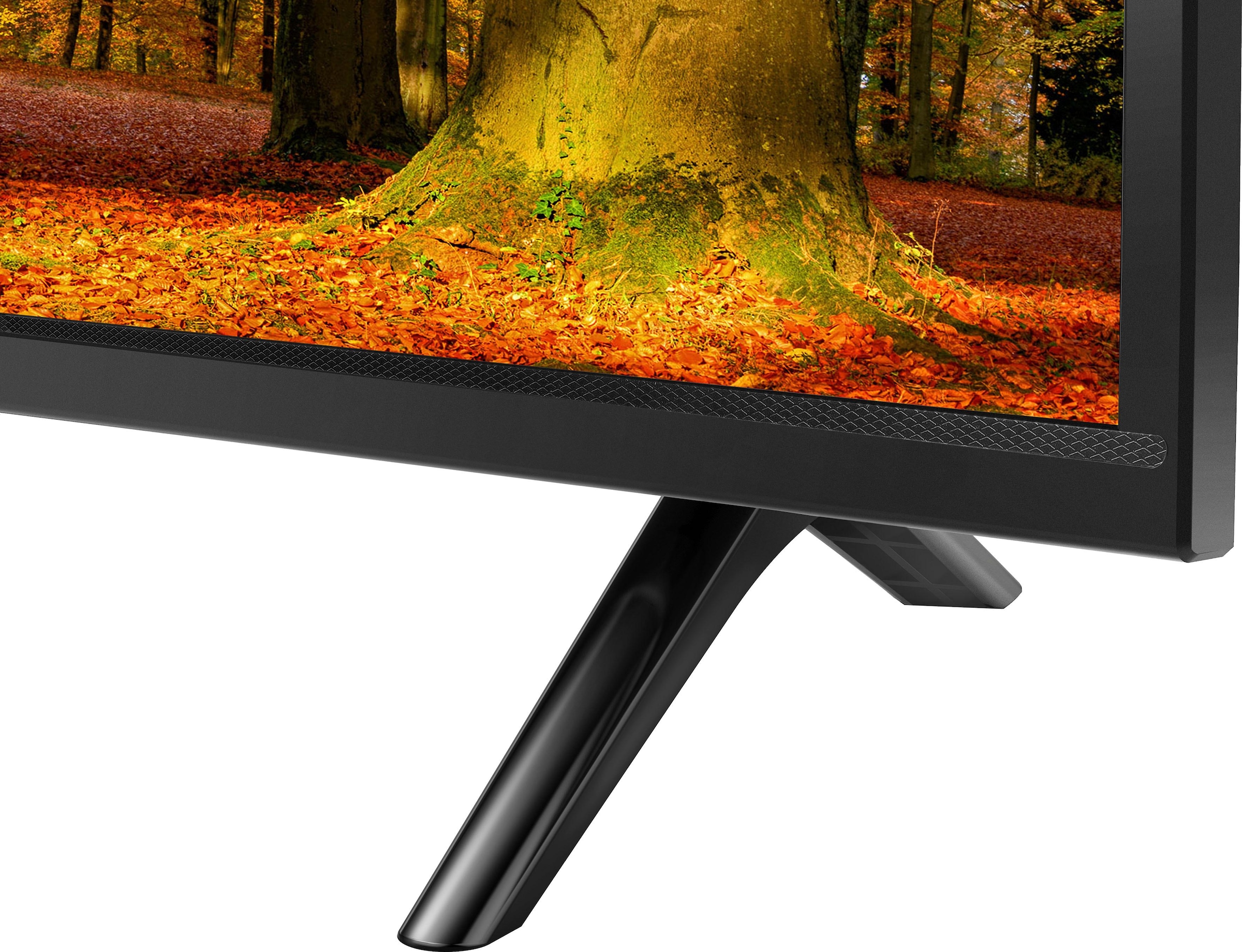 Thomson LED-Fernseher »32HD3306X1«, HD ready