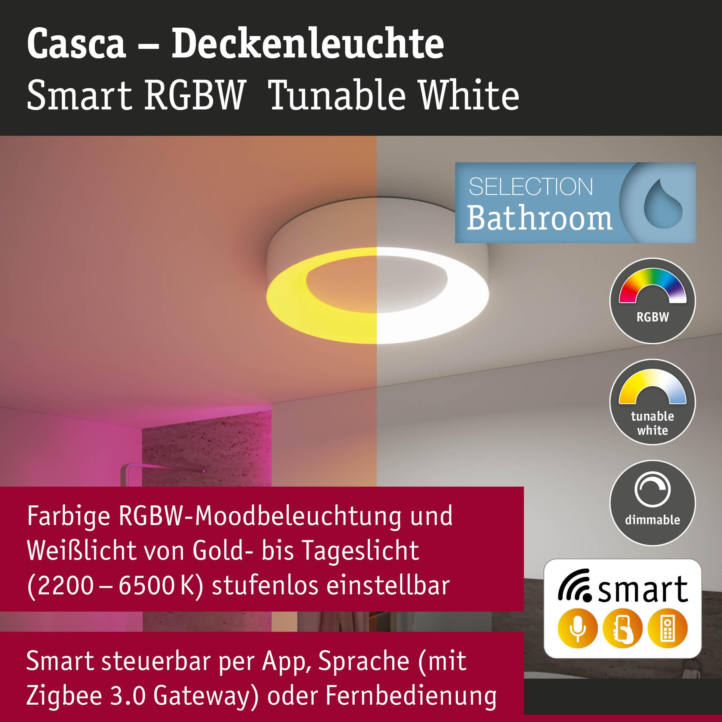 Paulmann Deckenleuchte »Casca« LED-Modul 1 Stk. Tageslichtweiß dimmbar