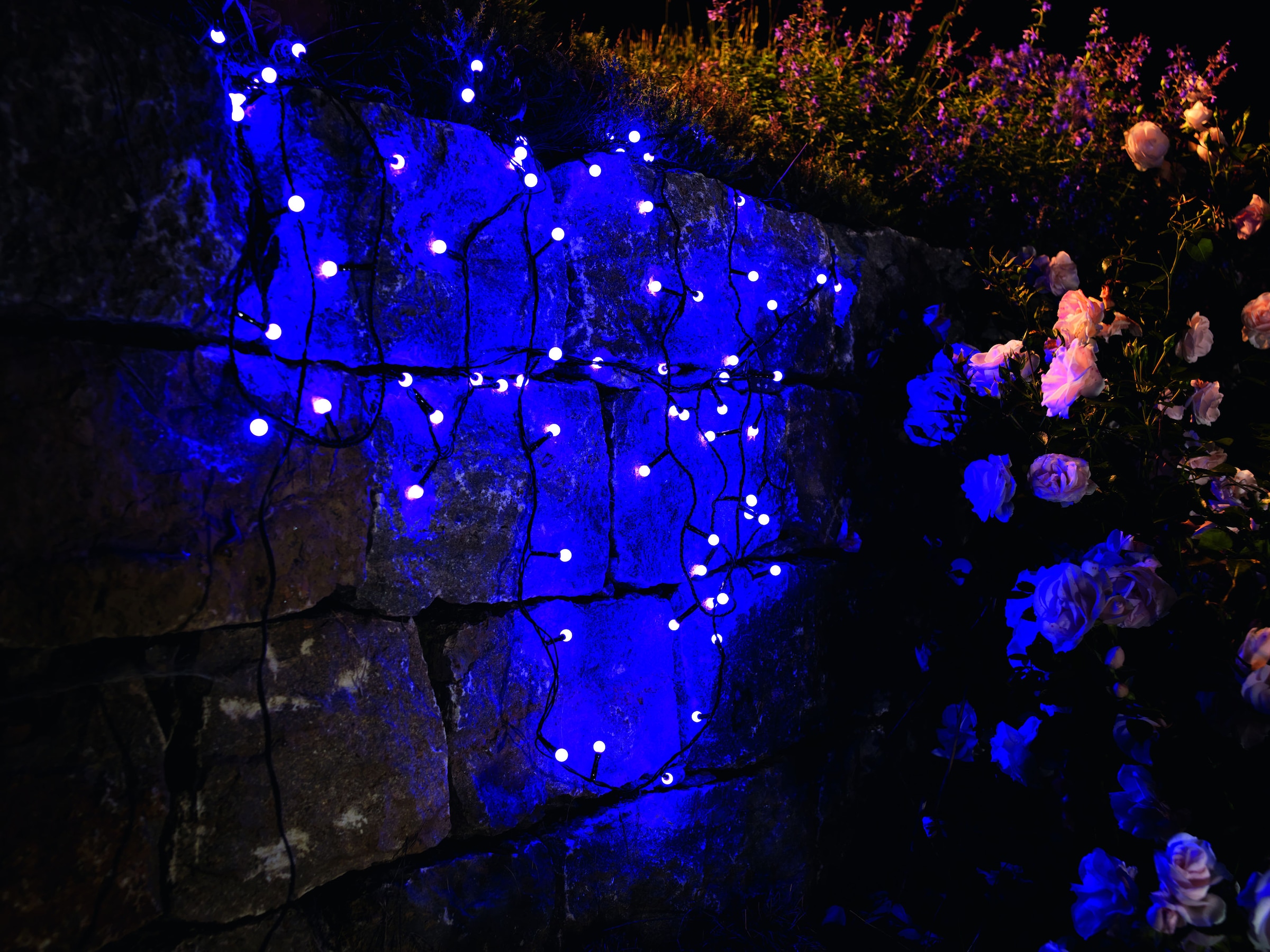 KONSTSMIDE LED-Lichterkette BAUR »Weihnachtsdeko 80 Dioden, | 80 aussen«, bestellen LED runde St.-flammig, Dioden purpurfarbene Globelichterkette,
