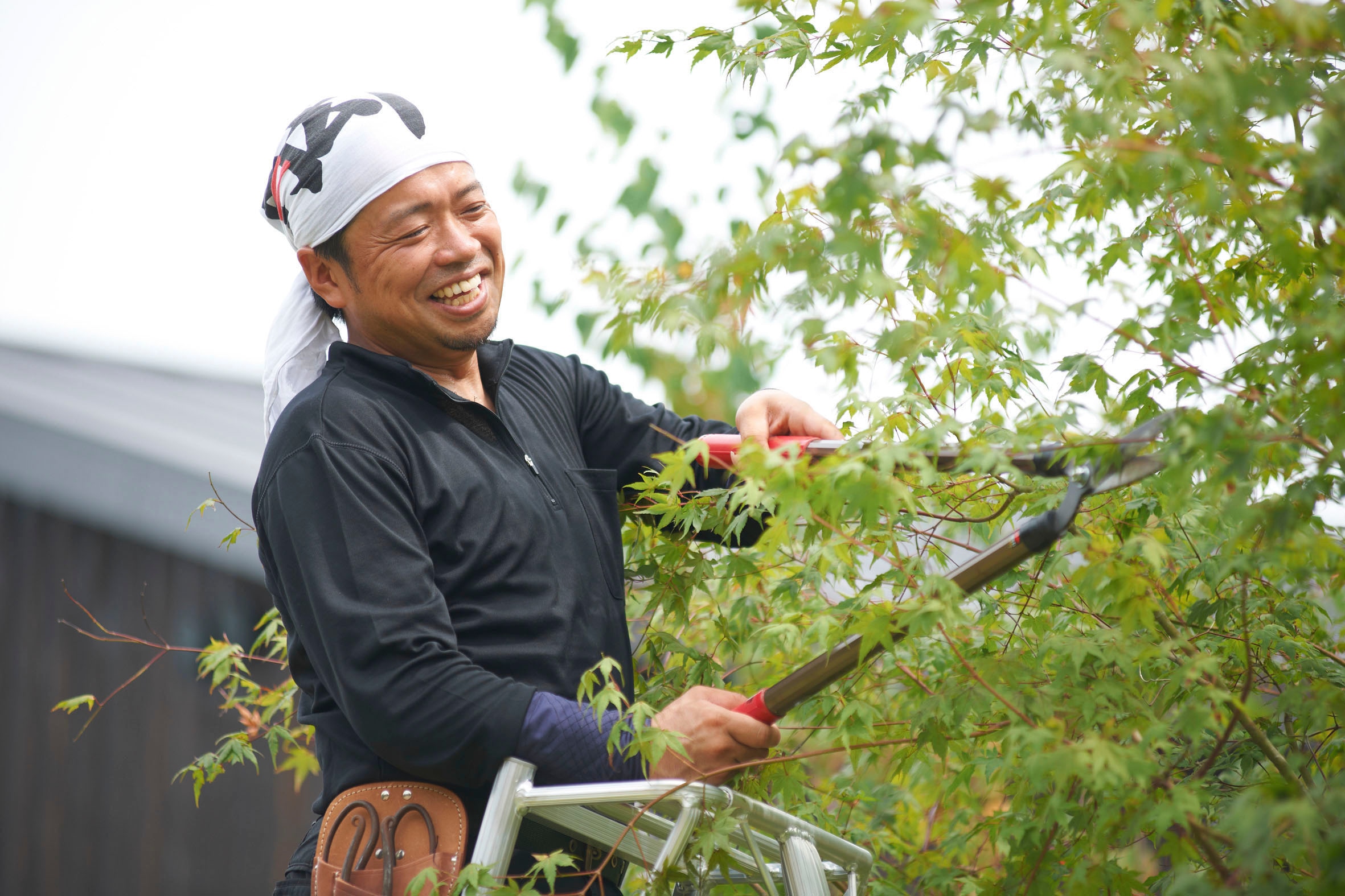 Niwaki Vielzweckleiter, Gartenleiter, gleicht Unebenheiten im Gelände aus