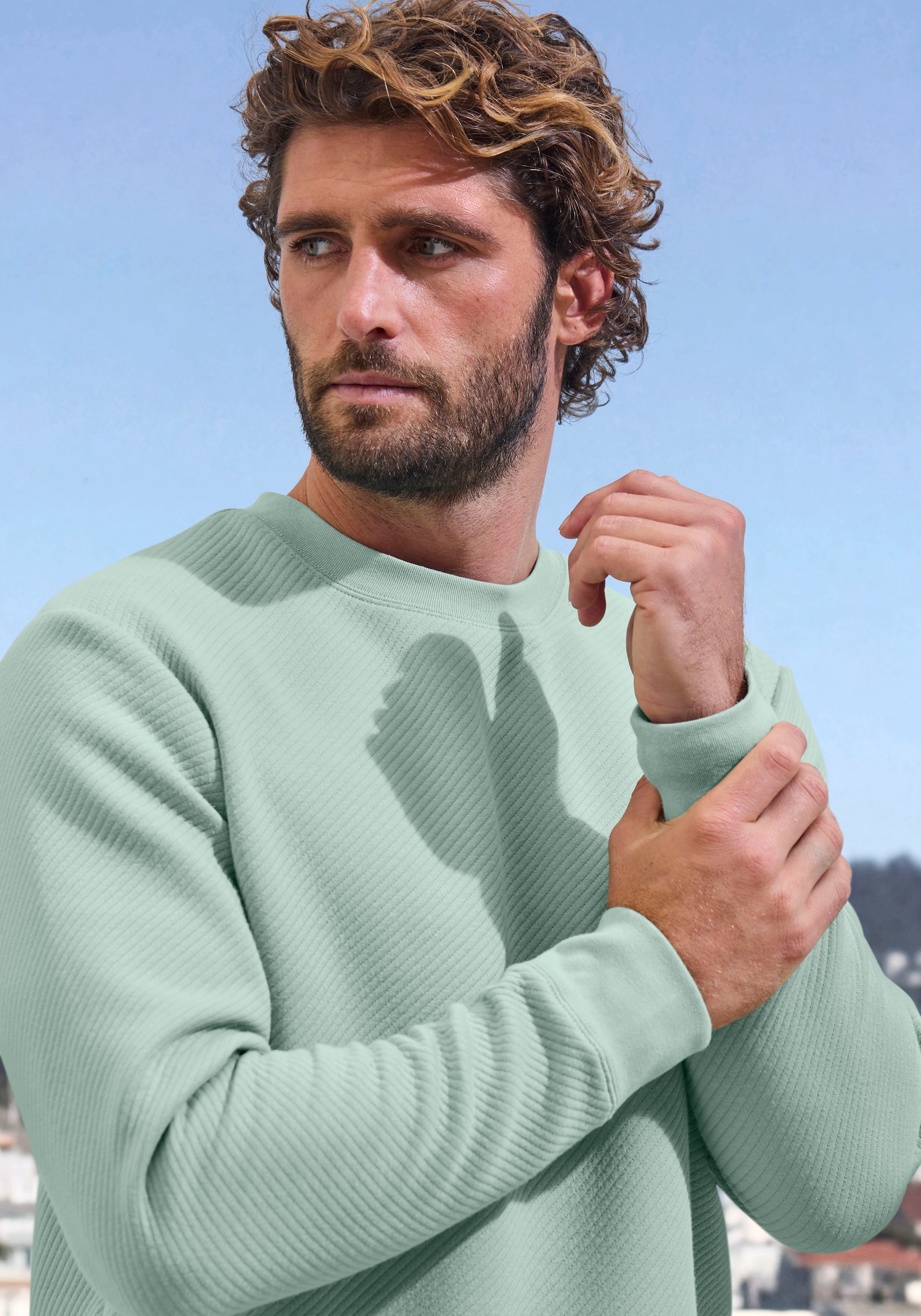John Devin Sweatshirt, Langarm, Sweatshirt mit Struktur, Rundhals, Baumwollmischung