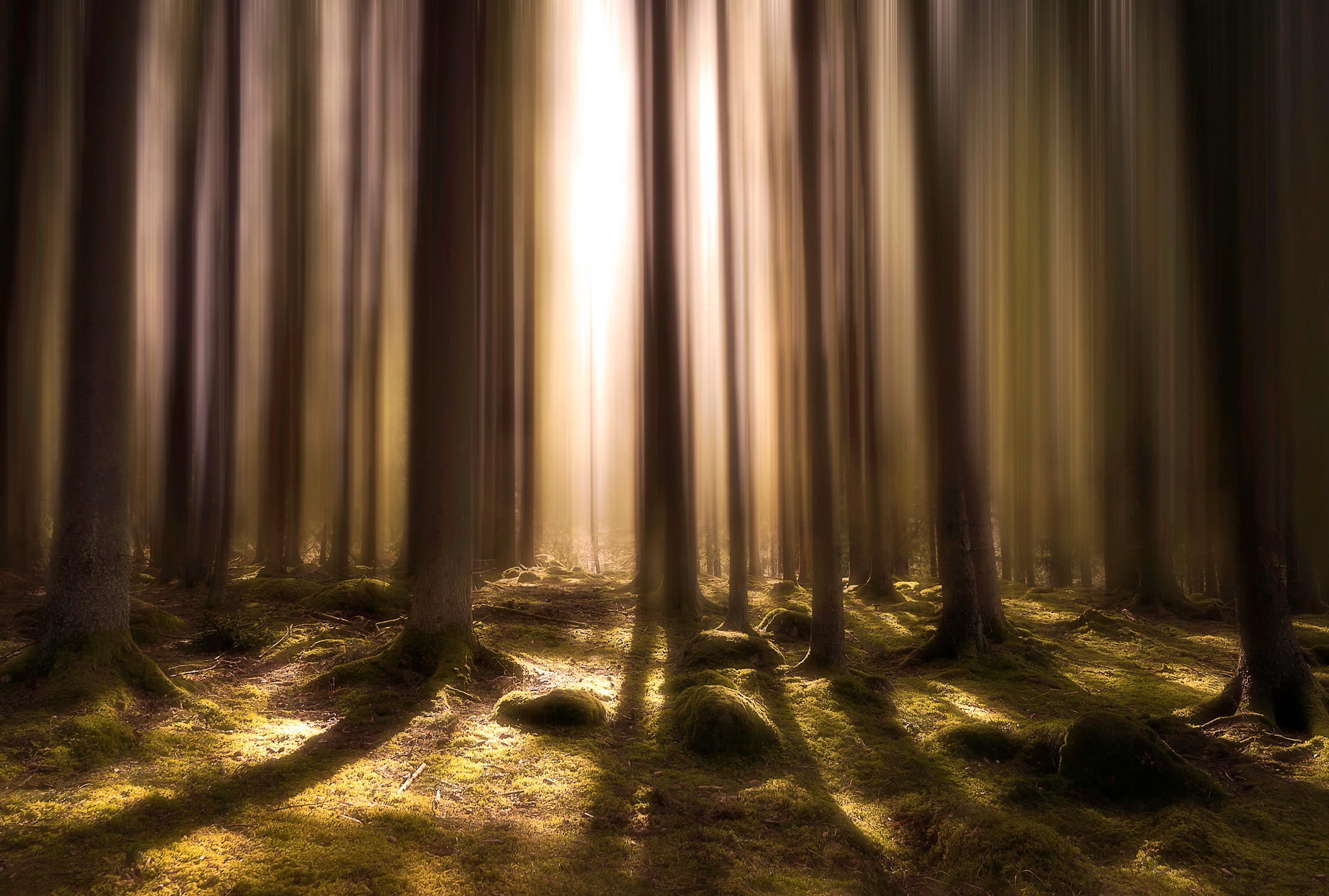 Papermoon Fototapete »Photo-Art  CHRISTIAN LINDSTEN, ATEM DES LEBENS«