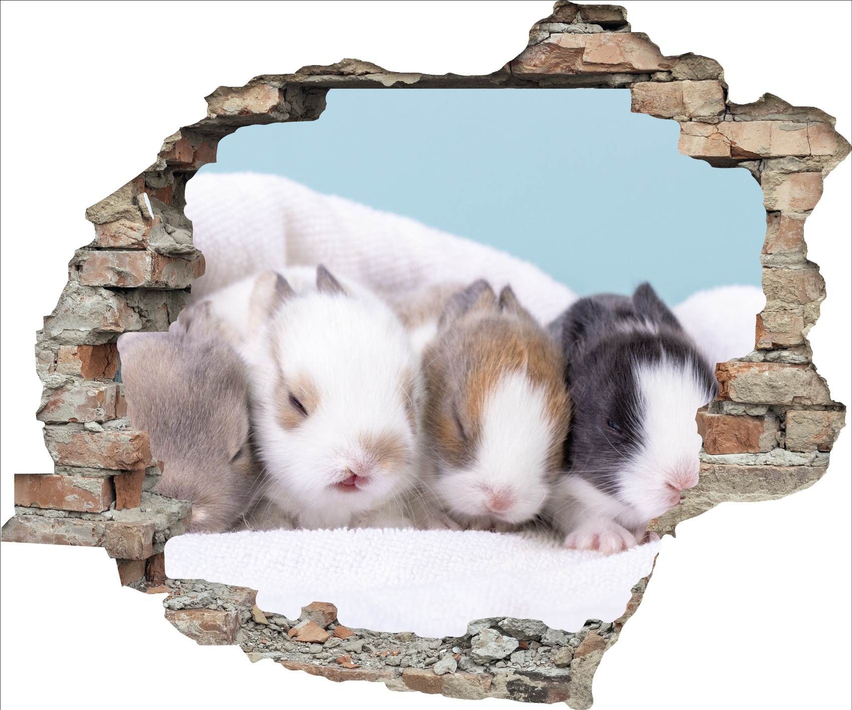 queence 3D-Wandtattoo "Hasenbabies" Selbstklebender Wandsticker Ostern Wand günstig online kaufen