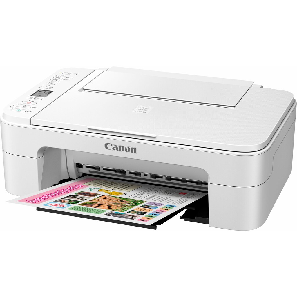 Canon Multifunktionsdrucker »PIXMA TS3150/TS3151«