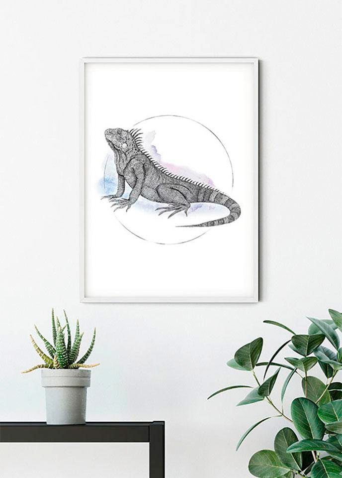 Komar Poster "Iguana Watercolor", Tiere, (1 St.), Kinderzimmer, Schlafzimmer, Wohnzimmer